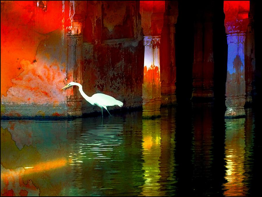 Castle Photograph - Egrets have a PALACE for Nesting by Sue Jacobi