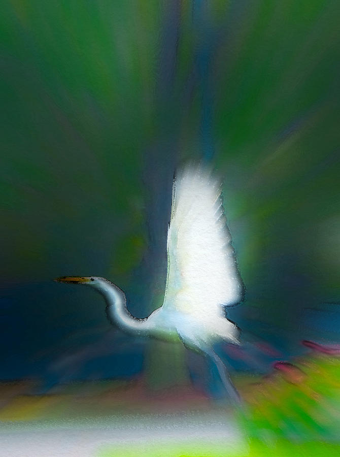 Egrets Wings Photograph by Frank Bright