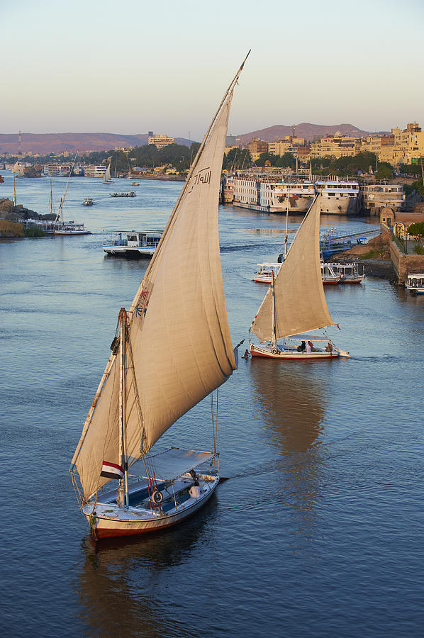 Egypt, Aswan, Feluccas on the Nile River Photograph by Tuul & Bruno Morandi