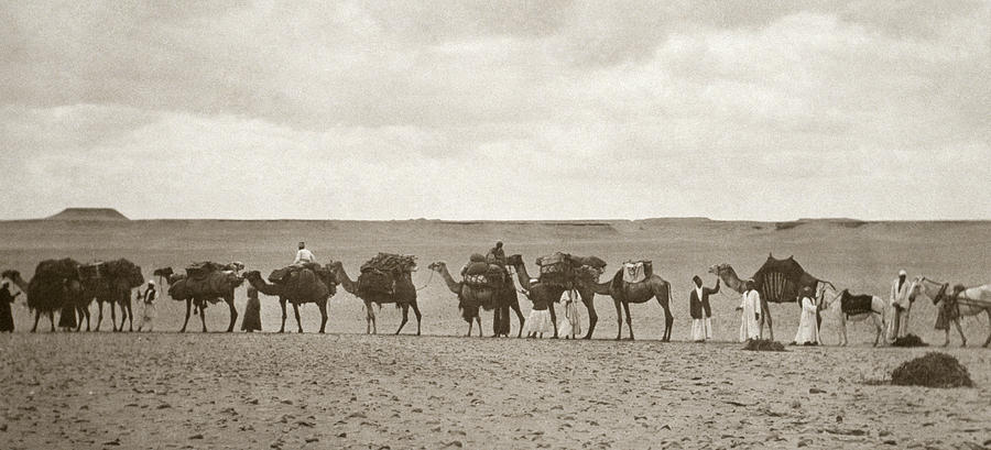 Egypt Caravan, 1913 Photograph By Granger - Fine Art America