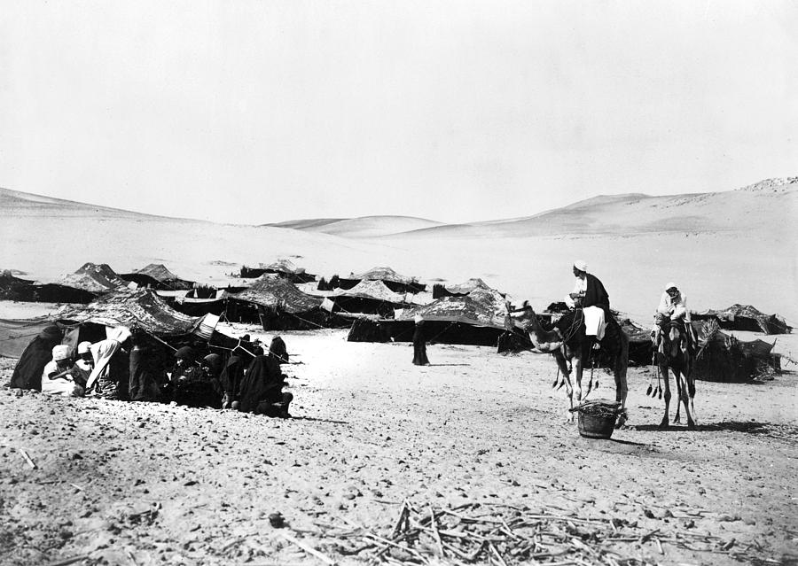 Egypt Desert Encampment Photograph by Granger