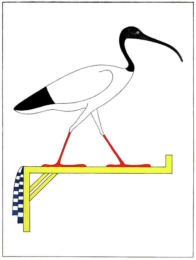 Egypt - Ibis, Symbol of the Ancient Egyptian God Thoth, 1823 Drawing by Granger