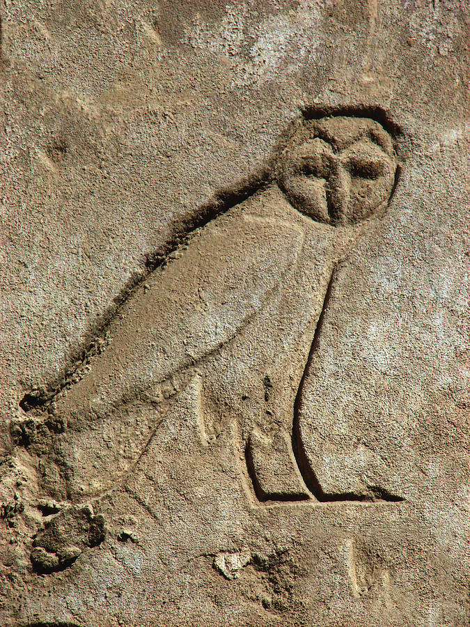 Egypt Owl Photograph by Judith Groeger