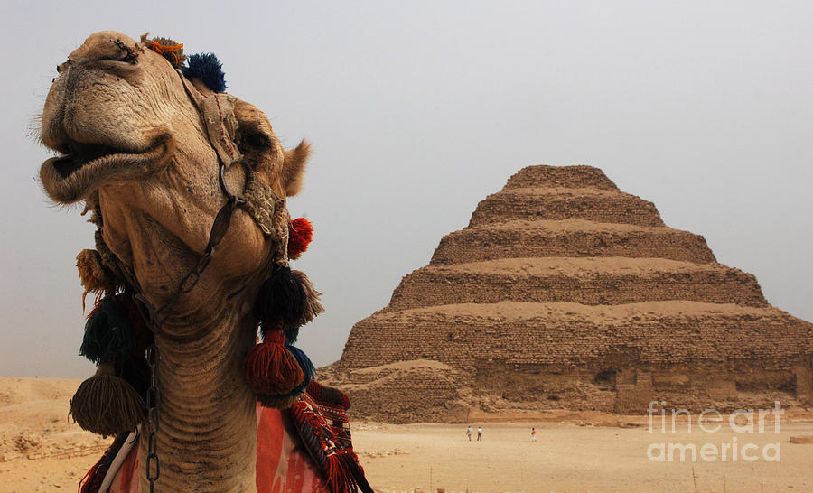 Holiday Photograph - Egypt Step Pyramid Saqqara by Bob Christopher