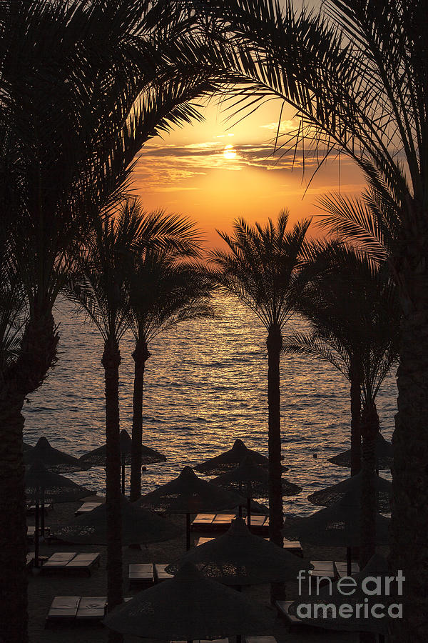 Egypt sunrise Photograph by Jane Rix
