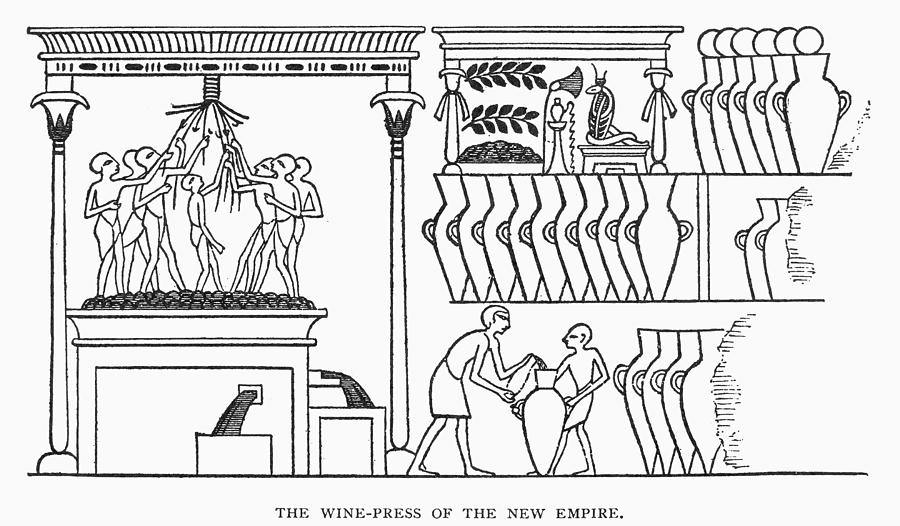 Egypt Winemaking Drawing by Granger