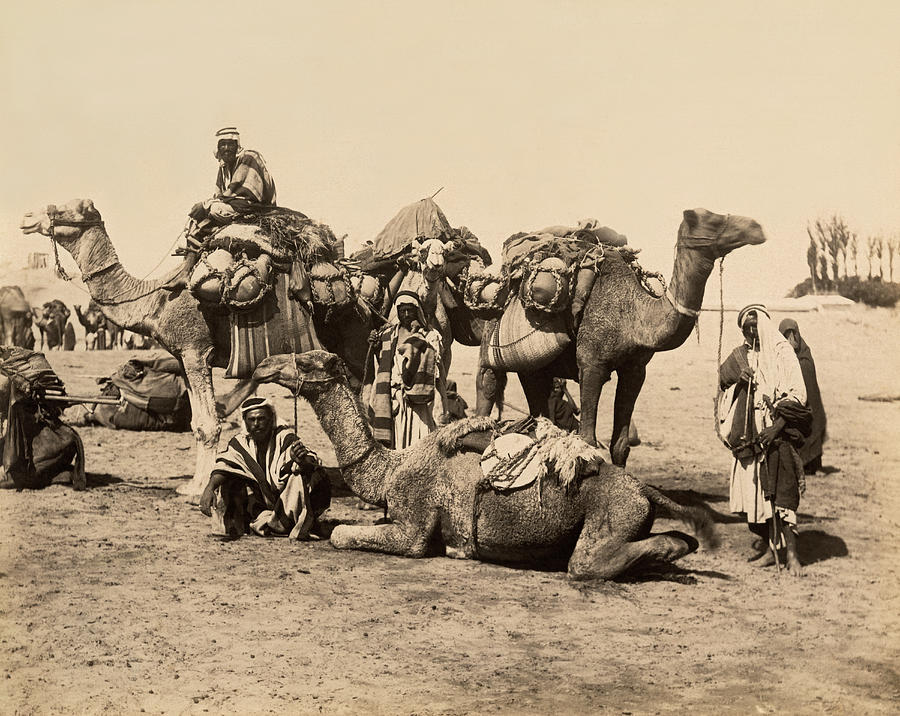 Egyptian Camel Caravan Photograph by Underwood Archives