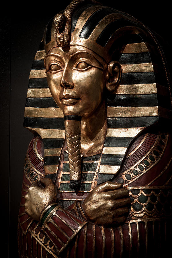 Egyptian Exhibit-5 Photograph