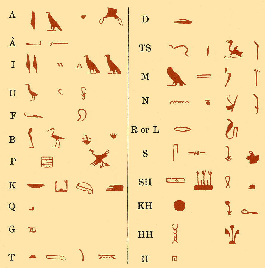 Details about   Egyptian Hieroglyphics Print 
