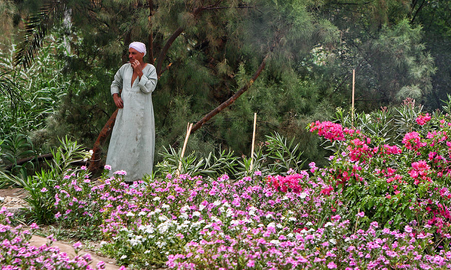 Egyptian Man in Garden Photograph by Linda Phelps