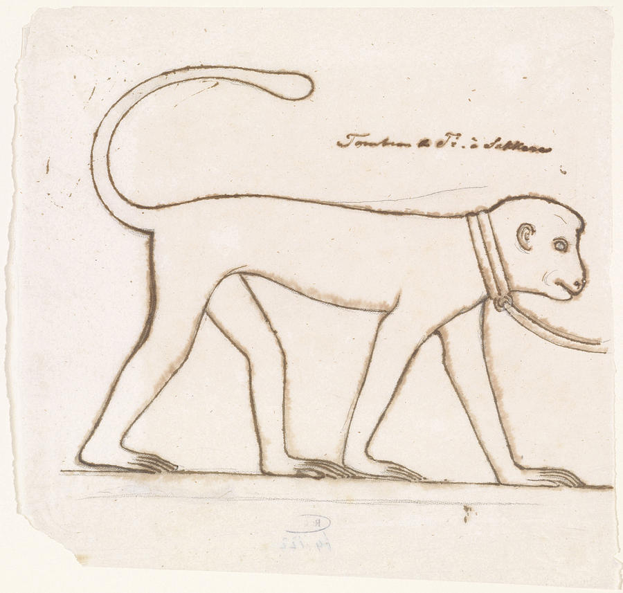 Monkey Drawing - Egyptian Relief Sculpture A Monkey, Willem De Famars Testas by Quint Lox