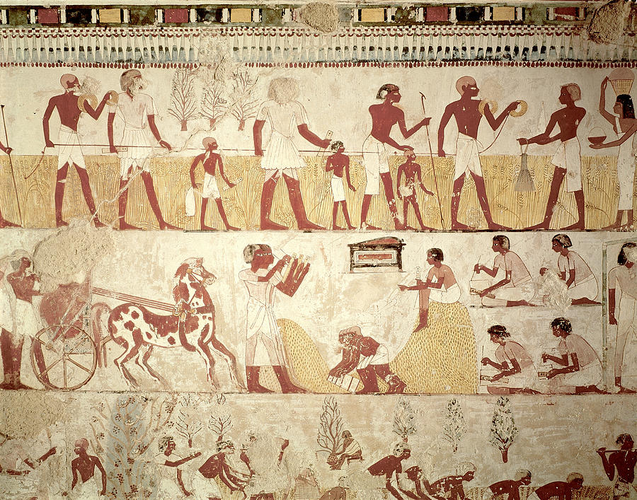 Egyptian Tomb Painting Photograph by Brian Brake