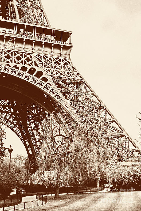 Eiffel In Sepia Photograph by Timothy Hacker
