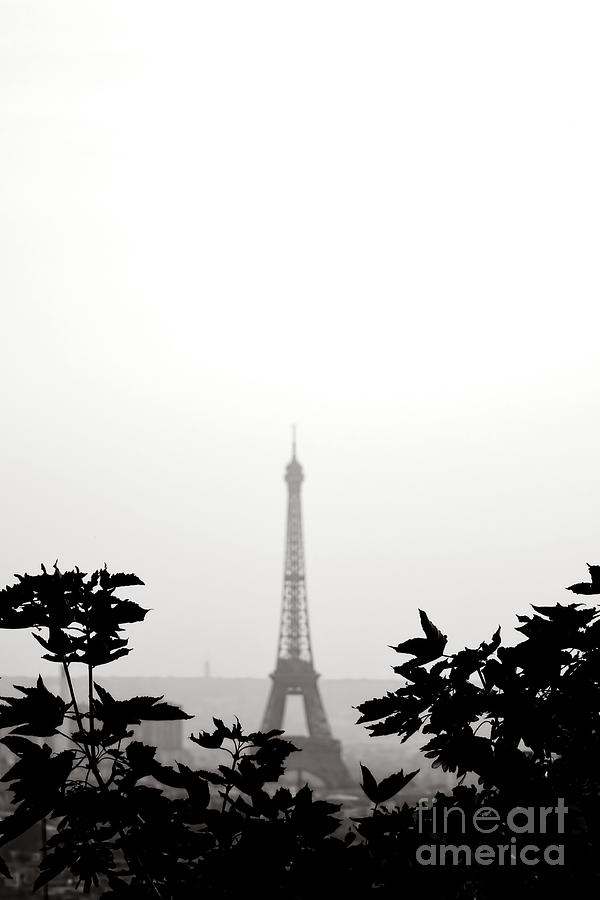Eiffel Memories  Photograph by Olivier Le Queinec