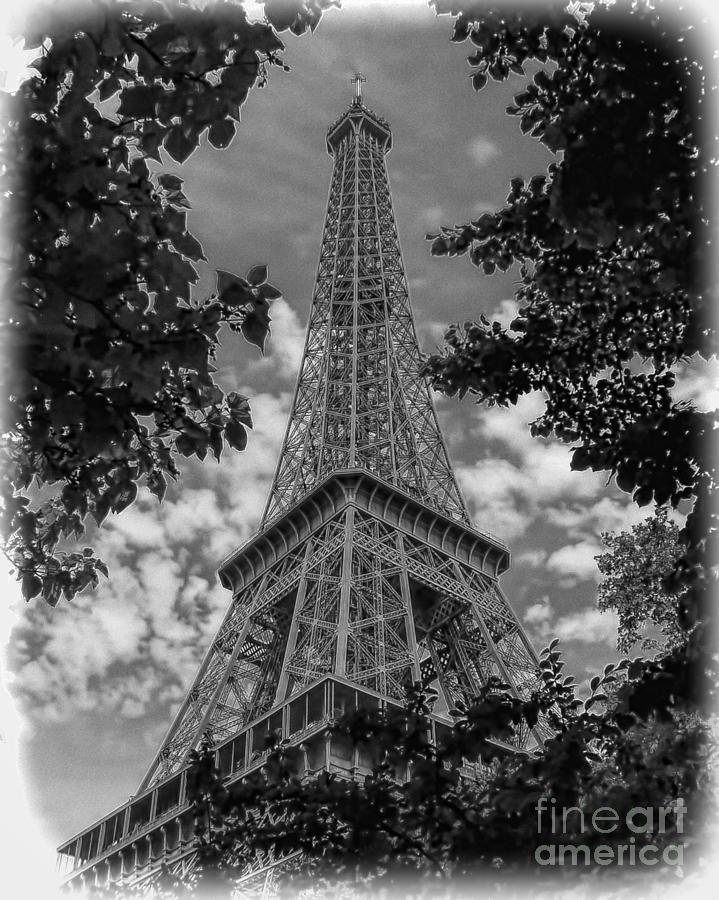 Eiffel Through Trees BW Photograph by Ken Johnson