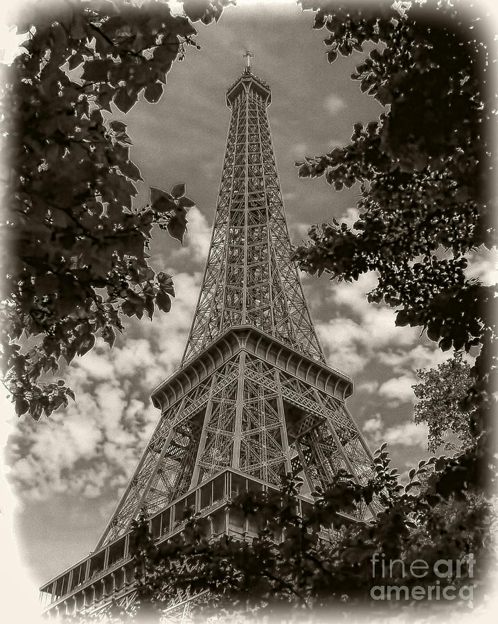 Eiffel Through Trees Sepia Photograph by Ken Johnson