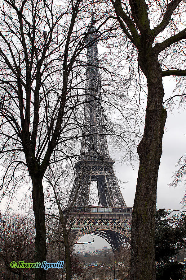 Eiffel Tower 4 Photograph by Everett Spruill