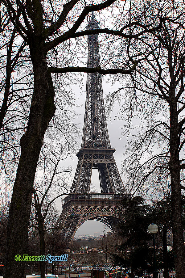 Eiffel Tower 5 Photograph by Everett Spruill