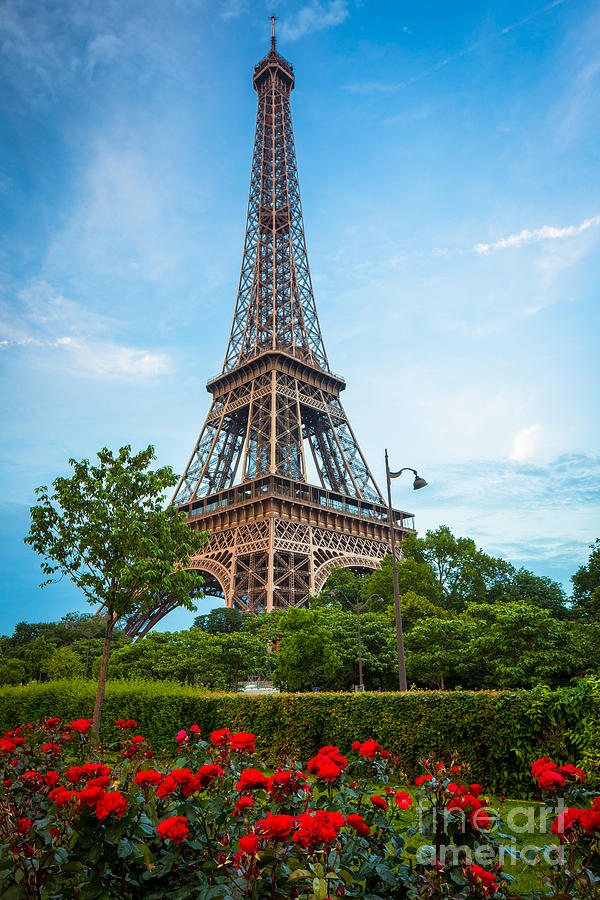 Eiffel Tower and Red Roses Photograph by Inge Johnsson