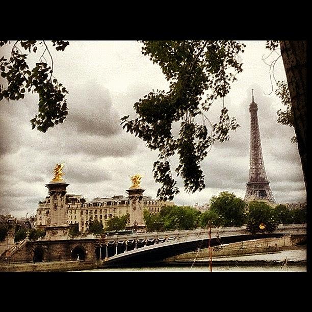 Paris Photograph - Eiffel Tower by Danielle McComb