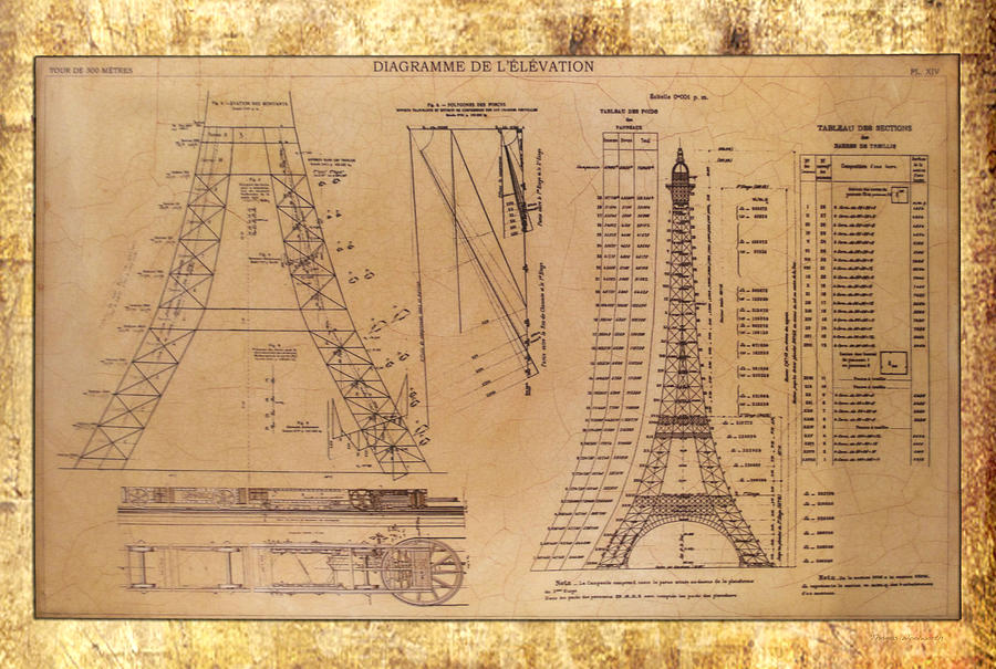 Eiffel Tower Elevation Blueprint Photograph by Thomas Woolworth ...