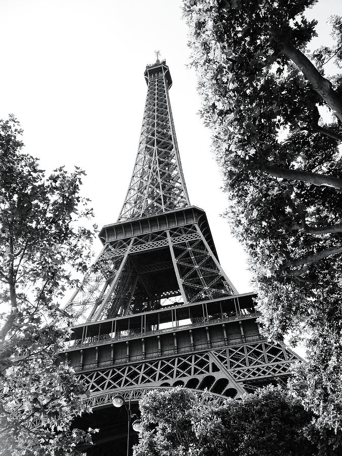 Eiffel Tower Photograph - Eiffel Tower in Paris by Vytas Speak