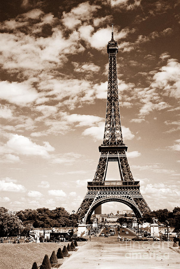 Eiffel tower in sepia Photograph by Elena Elisseeva