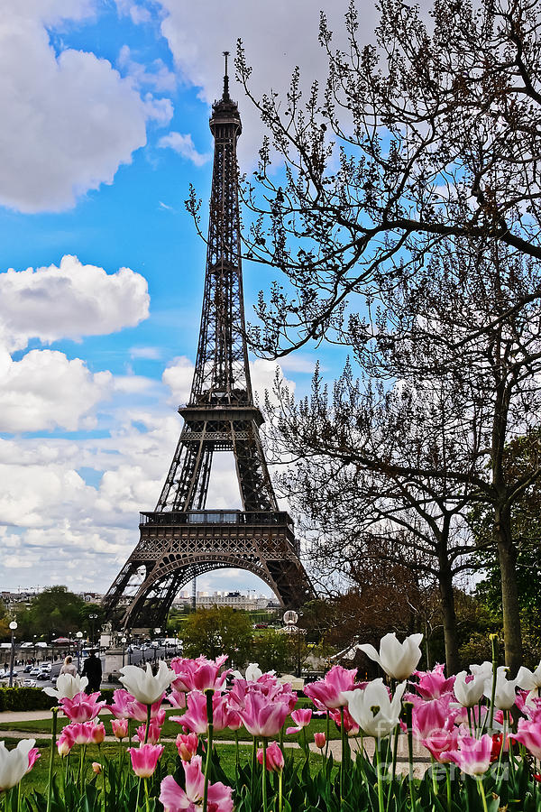 Nature Photograph - Eiffel Tower in Spring by Elvis Vaughn