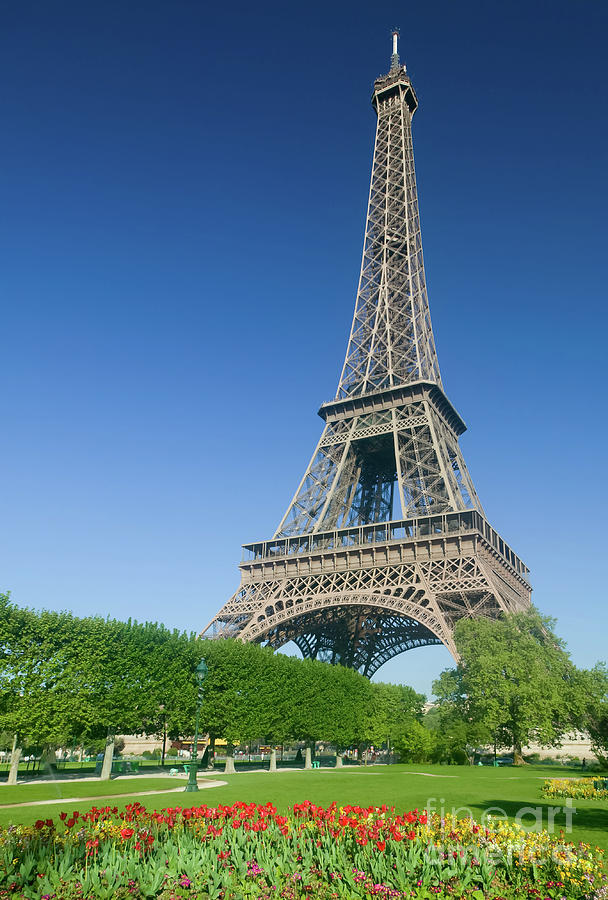 Eiffel Tower in Spring I Photograph by Clarence Holmes