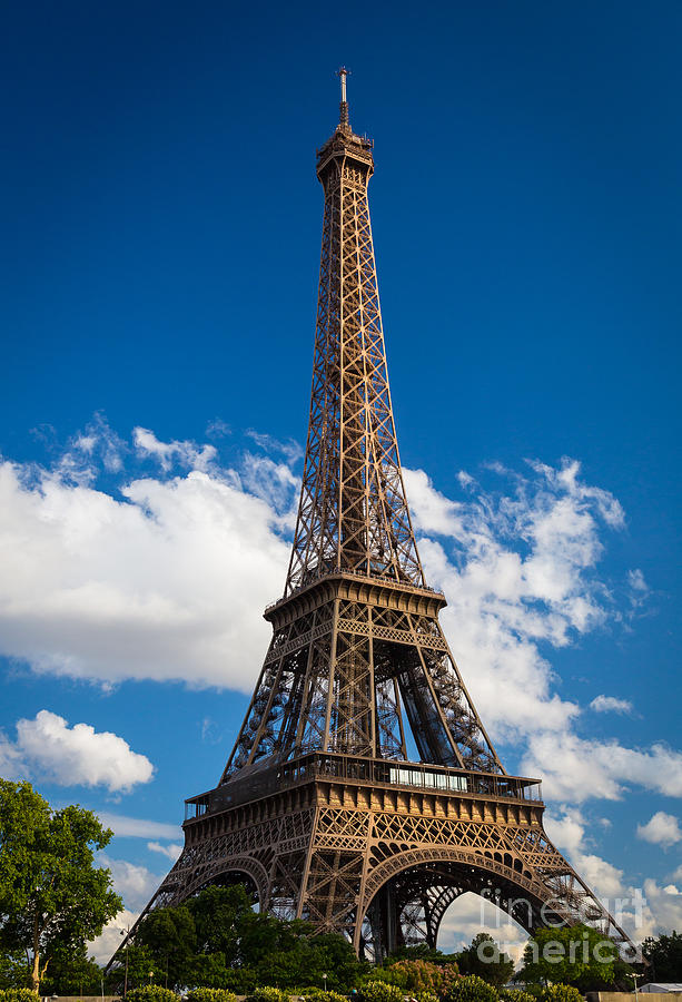 Eiffel Tower Photograph by Inge Johnsson