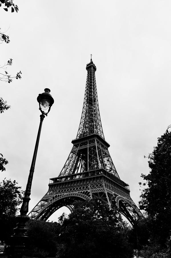 Eiffel Tower  Photograph by Maj Seda