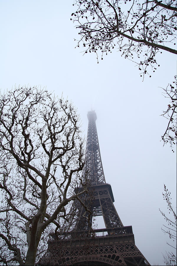 Architecture Photograph - Eiffel Tower - Paris France - 011318 by DC Photographer