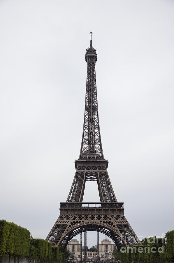 Eiffel Tower Photograph by Timothy Johnson