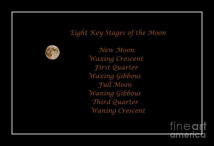 Eight Key Stages of the Moon Photograph by Barbara A Griffin