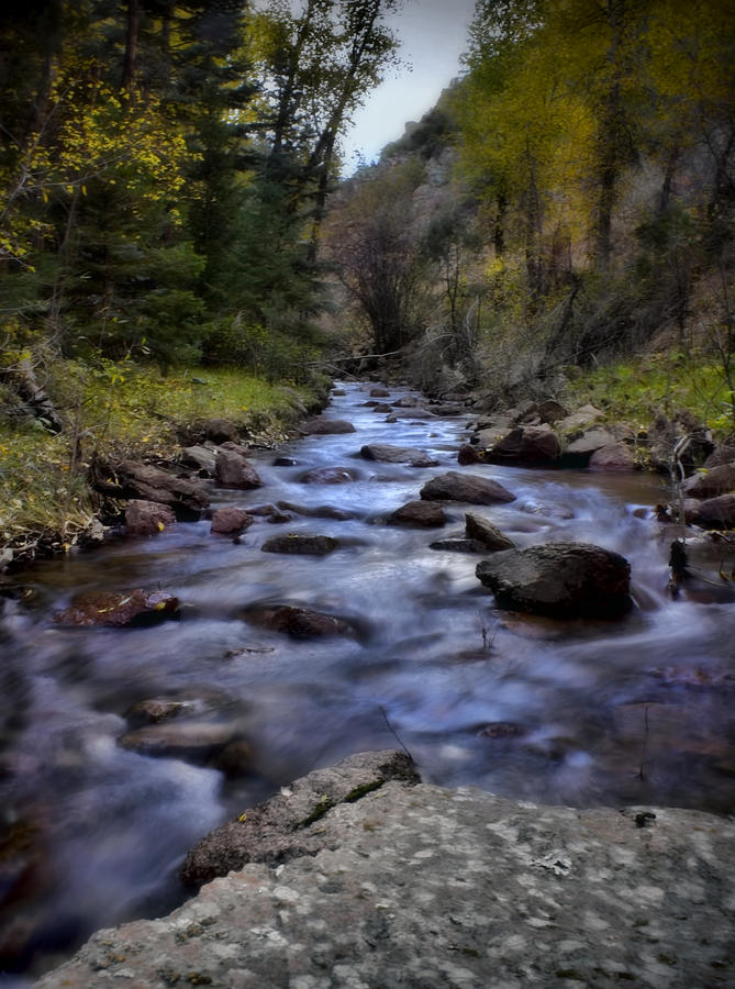 Eight Mile Creek Photograph by Ellen Heaverlo