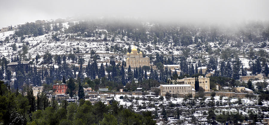 Ein Karem Jerusalem Photograph by Judith Katz - Fine Art America