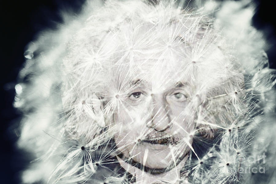 Einstein Dandy Digital Art by Mindy Bench