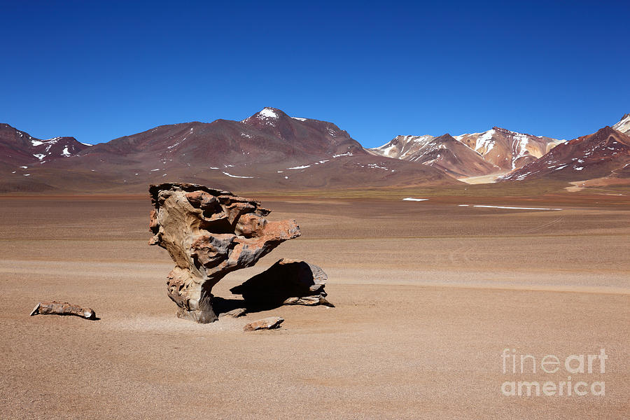 El Arbol de Piedra Bolivia Photograph by James Brunker