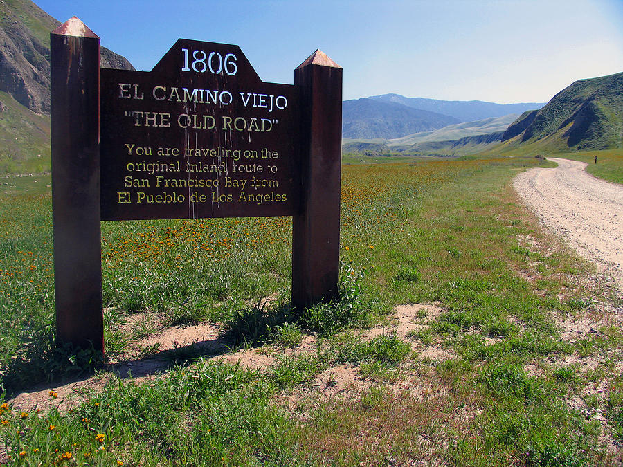 El Camino Viejo Photograph by Jim McCullaugh