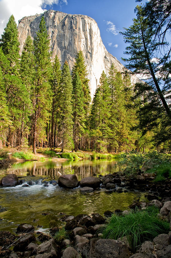 Green Rock Photograph - El Cap and Merced River by Cat Connor