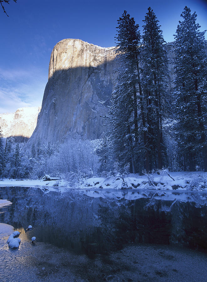 El Capitan And Merced River In Winter Photograph by Tim Fitzharris