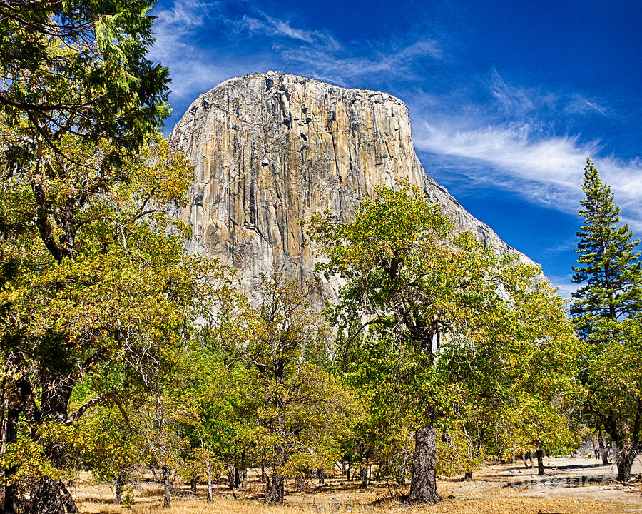 Yosemite National Park Photograph - El Capitan by David Doucot