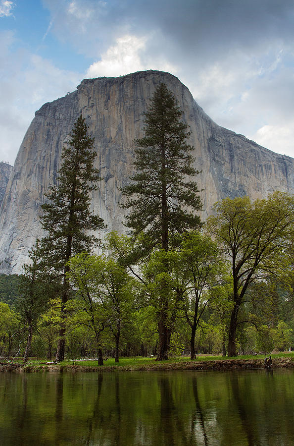 El Capitan From Accross the River Photograph by Robert Woodward