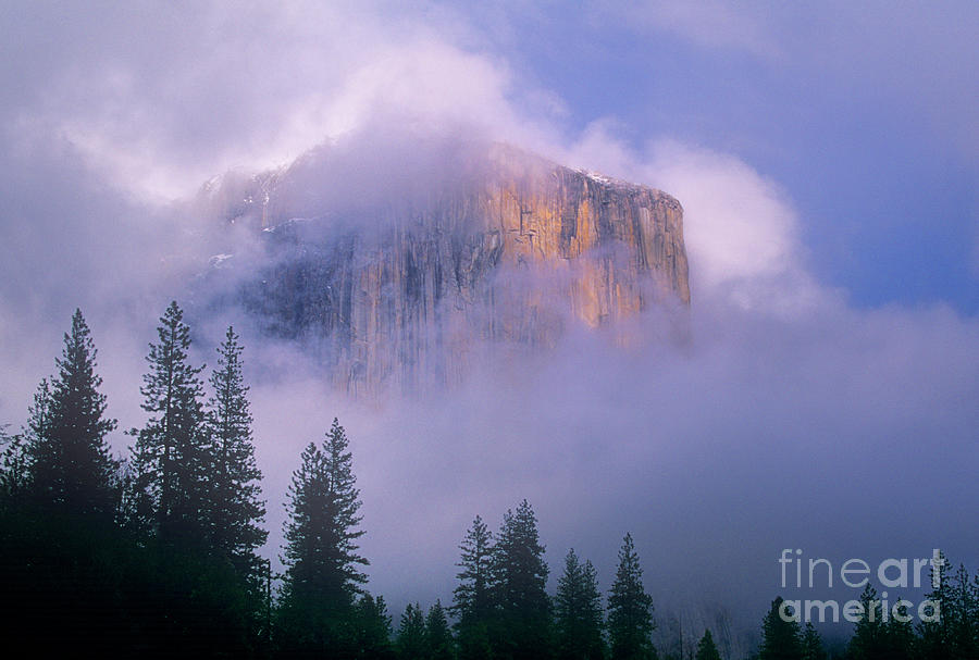 El Capitan In Fog Yosemite National Park California Photograph by Dave Welling