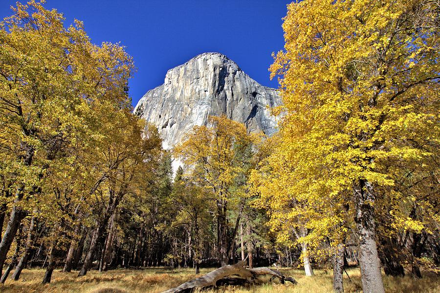 El Capitan in November Photograph by Gordon Elwell