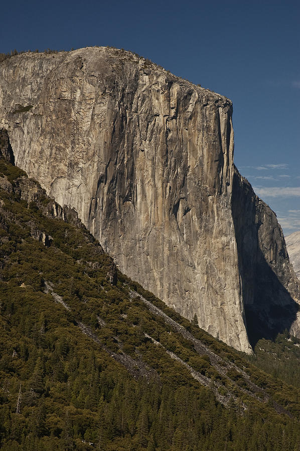 El Capitan Photograph by Lee Kirchhevel