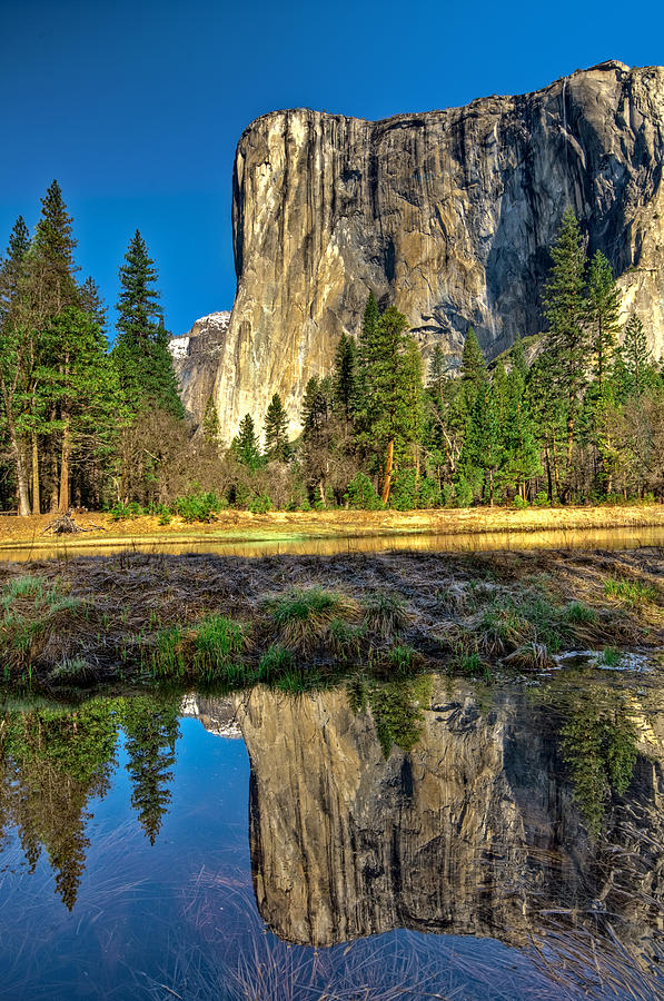 Yosemite National Park Photograph - El Capitan by Maria Coulson