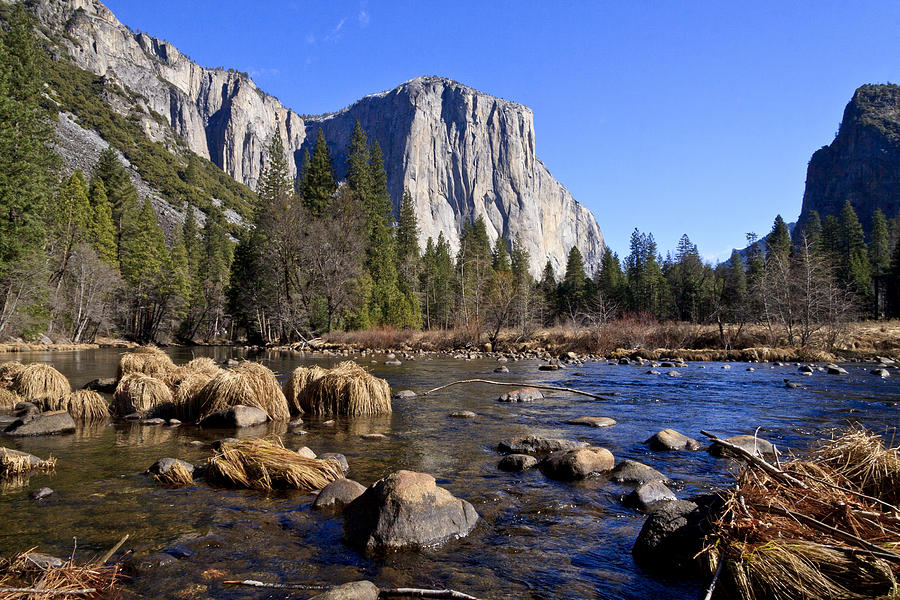 Yosemite National Park Photograph - El Capitan by Her Arts Desire