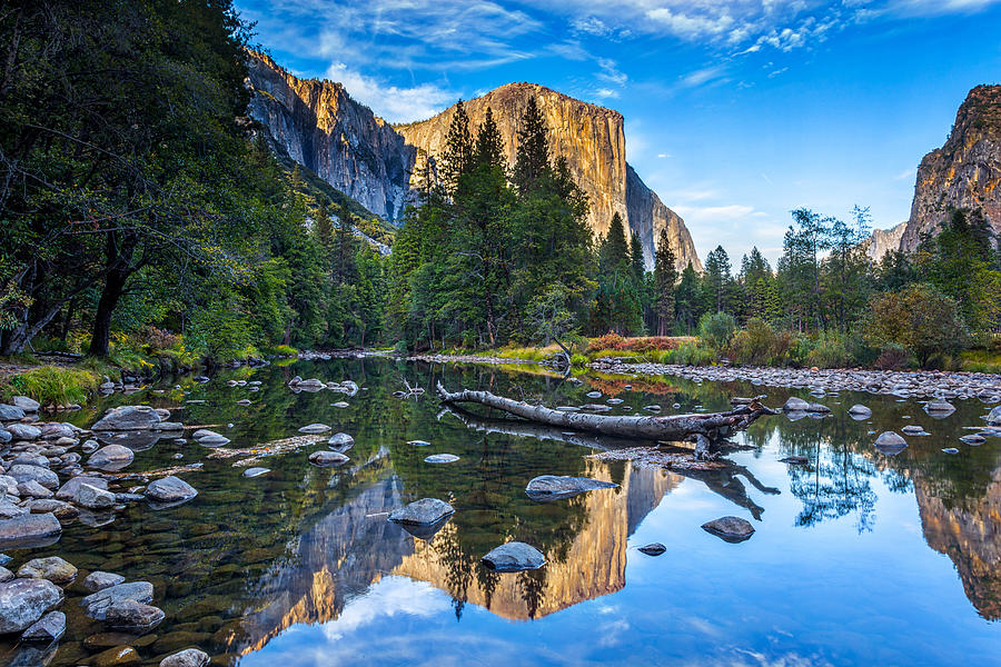 Yosemite National Park Photograph - El Capitan by Peter Tellone