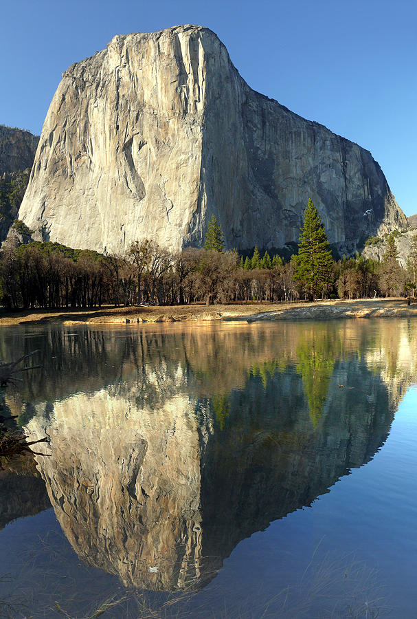 2DM6501-El Capitan Reflect  Photograph by Ed  Cooper Photography